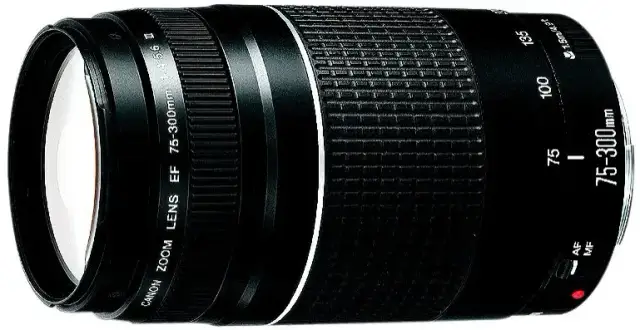 Canon 75-300mm: Do czego służy? Sprawdź możliwości!