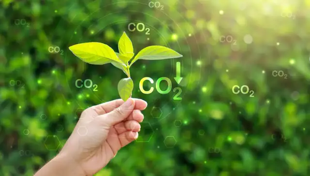Chiny: Lider emisji CO2 czy zielonej rewolucji?