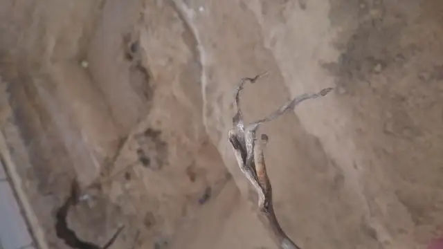 Kable w listwach? Ukryj je raz na zawsze! Poradnik Emila Michalaka
