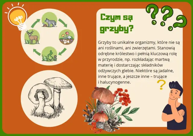 Ilustracja edukacyjna o grzybach dla przedszkola. Pokazuje cykl życia grzybów i ich znaczenie w przyrodzie.