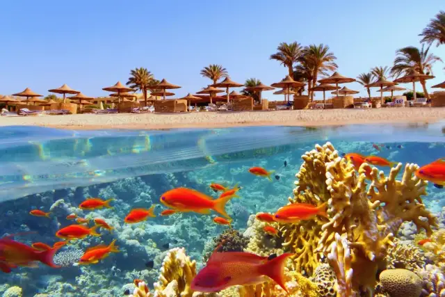 Marsa Alam: Jakie morze? Odkryj podwodny raj Morza Czerwonego