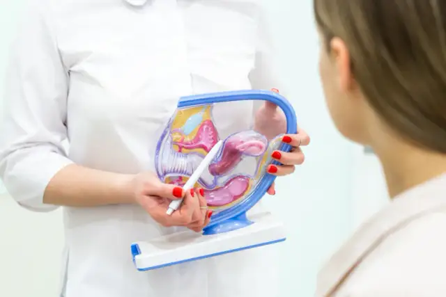 Lekarka pokazuje pacjentce model narządów rodnych, wyjaśniając, czy można wykonać badanie ginekologiczne podczas okresu.