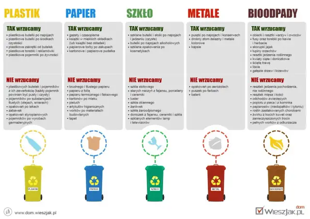 Segregacja odpadów: Co naprawdę podlega recyklingowi w Polsce?