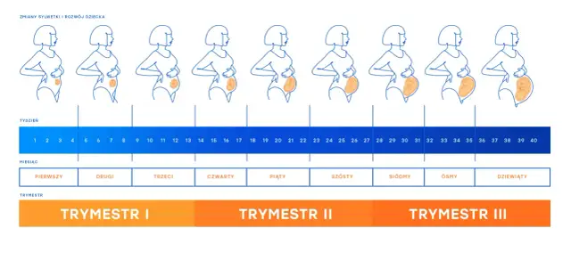 Tygodnie ciąży a miesiące - Rozwiej wątpliwości i przelicz!
