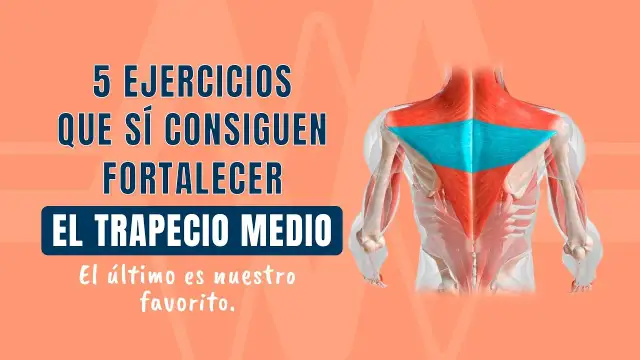 Ejercicios para fortalecer el músculo trapecio y evitar lesiones