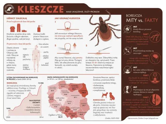 Choroby od kleszcza: Objawy, leczenie, profilaktyka. Co robić?