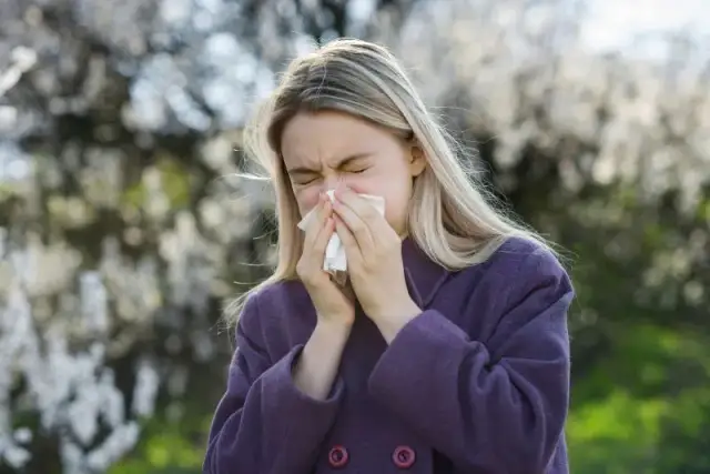 Kiedy pylą zboża? Sprawdź, jak uniknąć alergii w sezonie pylenia