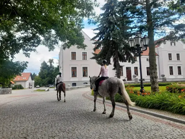 Najlepsze stadniny koni w Jaworznie - usługi, opinie i lokalizacja