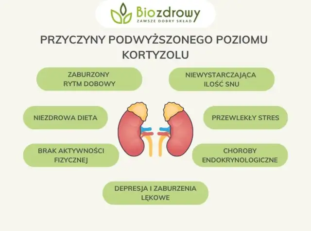 Objawy niskiego kortyzolu: Jak rozpoznać niedobór hormonu stresu?