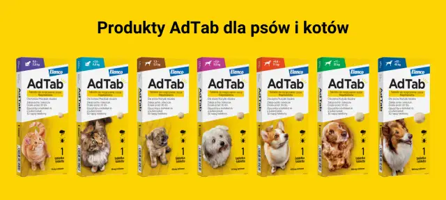 Jak działają krople na kleszcze dla psa? Poznaj ich skuteczność i bezpieczeństwo