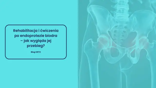 Rehabilitacja po endoprotezie biodra. Grafika przedstawia miednicę z zaznaczonymi stawami biodrowymi, sugerując przykurcz biodra.