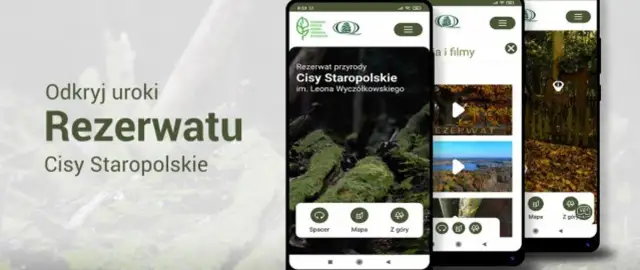 Najstarszy rezerwat przyrody w Polsce - historia i unikalne atrakcje