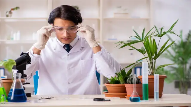 Kariera po biologii: 7 ścieżek, które musisz znać!