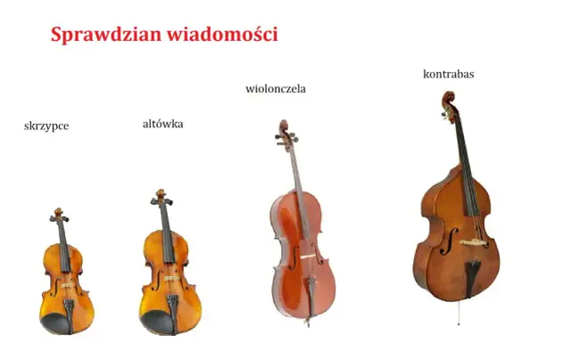 Skrzypce, altówka, wiolonczela i kontrabas ustawione obok siebie, pokazujące różnice w rozmiarze.