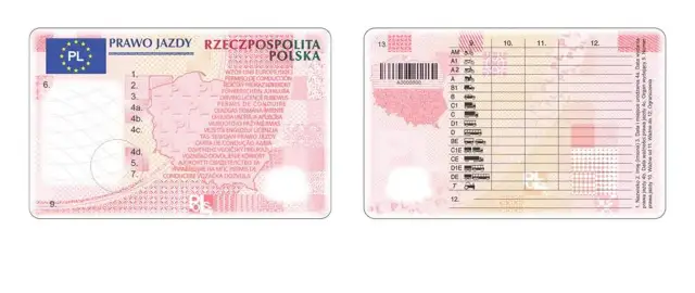 Jak zamówić prawo jazdy online - krok po kroku bez zbędnych problemów