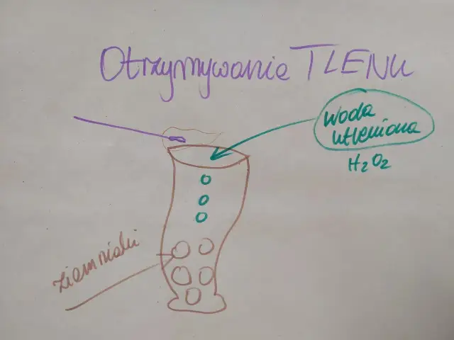 Otrzymywanie tlenu z wody utlenionej (peroxide co to) z użyciem ziemniaka.