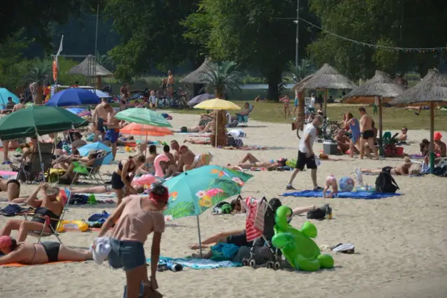 Słoneczna plaża nad zalewem w Małomicach tętni życiem. Ludzie odpoczywają pod parasolami, opalają się i relaksują na piasku.