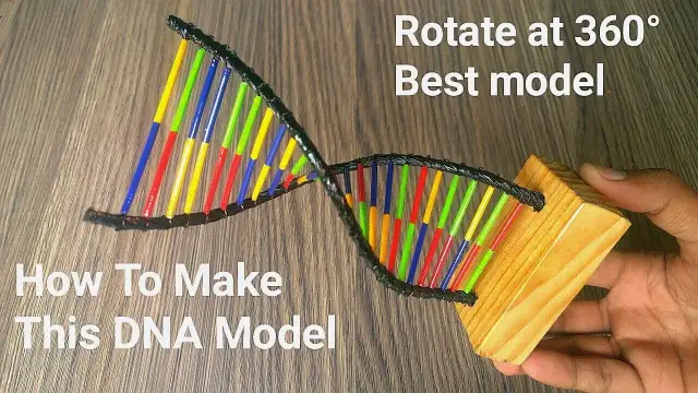 Jak zrobić DNA na biologię - proste kroki do stworzenia modelu
