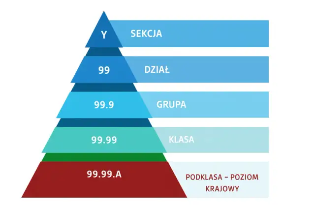 Hierarchia PKD: Y Sekcja, 99 Dział, 99.9 Grupa, 99.99 Klasa, 99.99.A Podklasa - Poziom Krajowy. Sprzedaż detaliczna mieści się w tej strukturze.