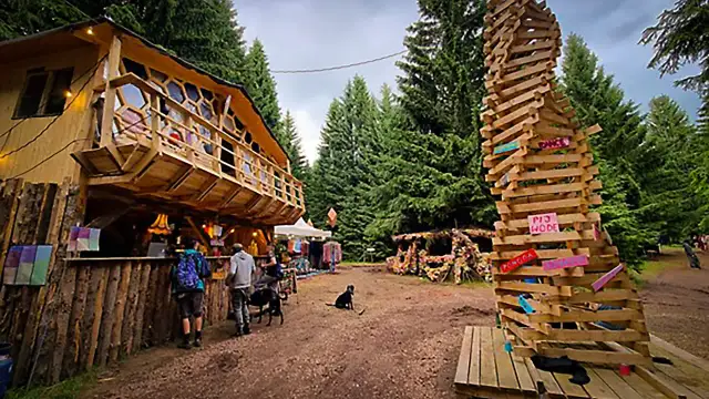 Drewniany domek na drzewie i spiralna rzeźba z desek na festiwalu Grasz Bór. Ludzie spacerują, psy odpoczywają.