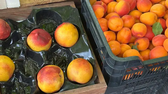 Brzoskwinia i nektarynka, dwie odmiany owoców, leżą obok siebie w drewnianej skrzynce i czarnej plastikowej skrzynce.
