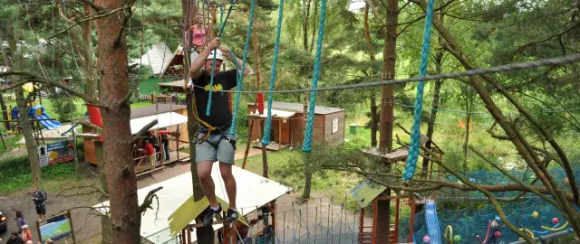 Park Linowy Alfa: Przewodnik po 4 lokalizacjach, trasach i cenach