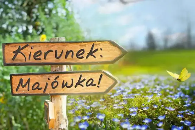 Majówka 2026 - Ile dni wolnego i jak zaplanować udany wyjazd?