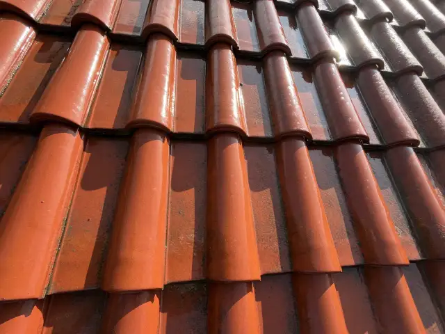 Dachówka betonowa traci kolor i obrasta mchem - Jak dbać o dach?