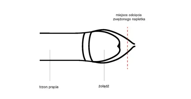 Jak ściągnąć skórę z napletka u dziecka bez bólu i komplikacji