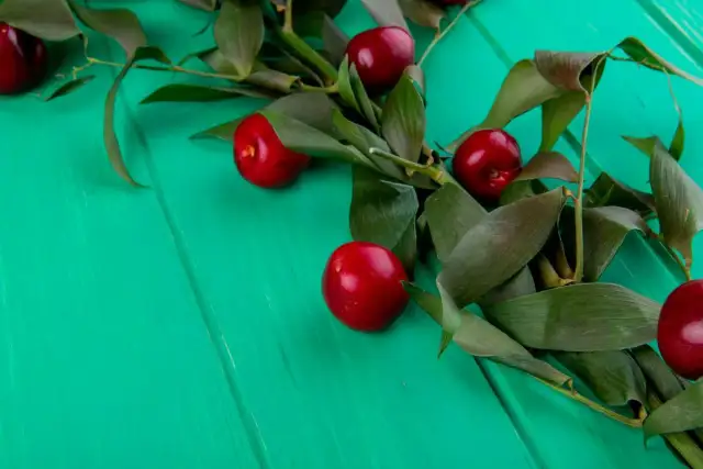 Diferencia entre picota y cereza - ¿Cómo reconocer la auténtica?