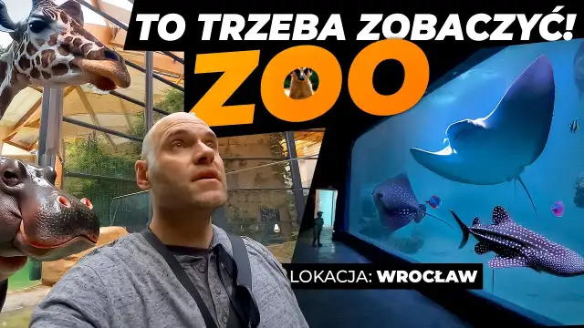 Czy afrykarium i oceanarium to to samo? Poznaj zaskakujące różnice