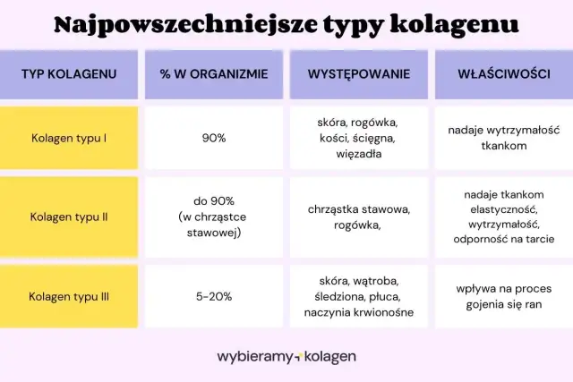 Typy kolagenu - Jak realnie wpływają na włosy i co wybrać?