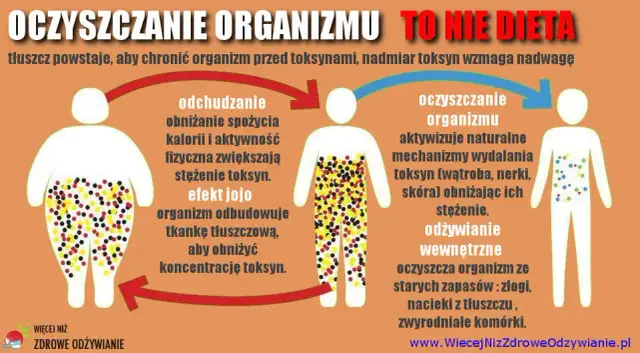 Detoks wegański: Czy to zdrowe oczyszczanie? Sprawdź fakty!
