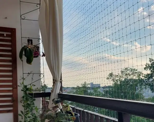 Siatka na Balkon: Ile Kosztuje Montaż? Bezpieczeństwo dla Zwierząt