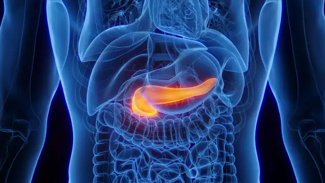 Jaki lekarz od trzustki? Gastroenterolog objawy i diagnoza
