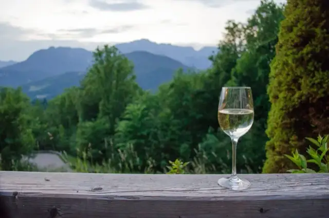 Wino dry co to znaczy? Poznaj smak i różnice w winach