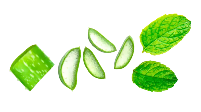 Skuteczne sposoby na bolące dziąsła – ulga i domowe metody