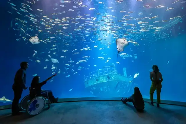 Największe oceanarium w Niemczech: Ozeaneum w Stralsundzie i jego atrakcje