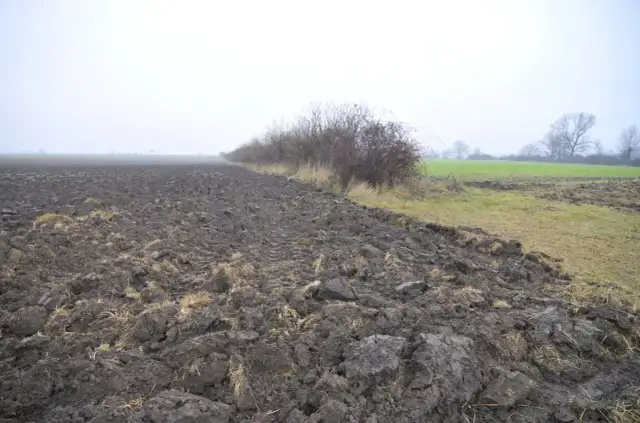 Pola uprawne i zarośla na tle mglistego krajobrazu. Zastanawiasz się, ile kosztuje hektar ziemi?