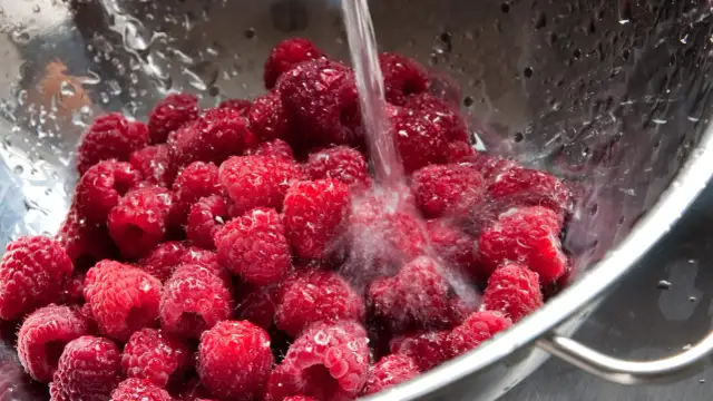 Frische Himbeeren werden in einem Sieb unter fließendem Wasser gewaschen, um sie für die Lagerung vorzubereiten und **frisch zu halten**.