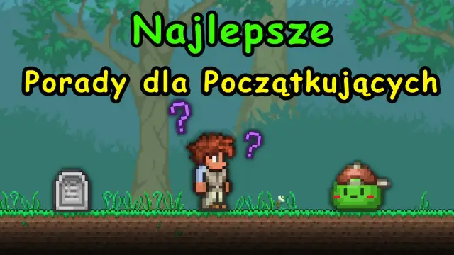 Terraria jak grać: uniknij najczęstszych błędów początkujących
