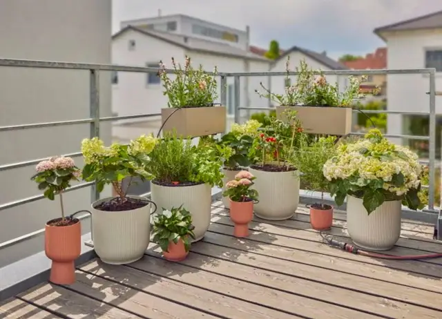 System podlewania na balkon i do ogrodu - Jak wybrać i ile kosztuje?