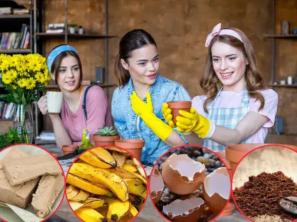 Jak zrobić naturalny nawóz do kwiatów z odpadów kuchennych