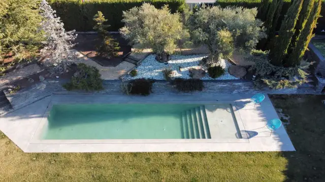 Piscina moderna de obra con escaleras integradas, rodeada de jardín con olivos y cipreses. Un ejemplo de los diversos tipos de piscinas de obra.