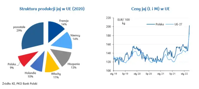 Ile można zarobić na sprzedaży jajek? Zaskakujące fakty i analizy!