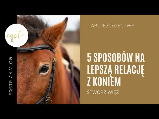 Mój koń mnie wybrał? Poznaj sygnały zaufania i zbuduj więź