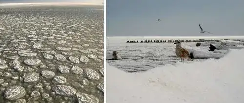 Czy Bałtyk zamarza? Fakty, historia i wpływ zmian klimatu