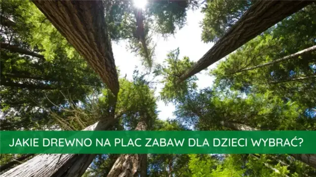 Jakie drewno na plac zabaw? Wybierz najtrwalsze i bezpieczne opcje
