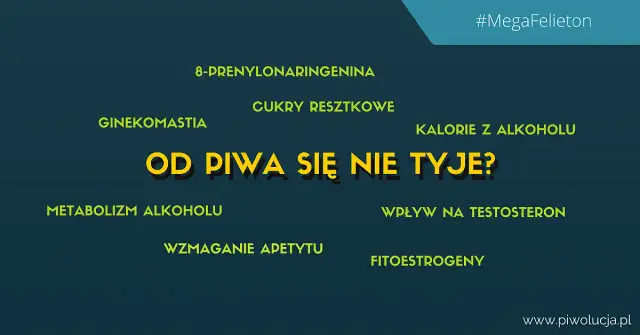 Piwo tuczy? Rozwiewamy mity! Jak pić i nie tyć?