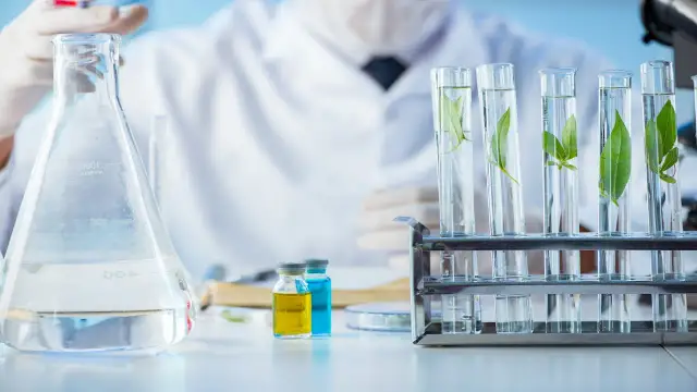 Co można robić po studiach biotechnologii? Odkryj ciekawe kariery